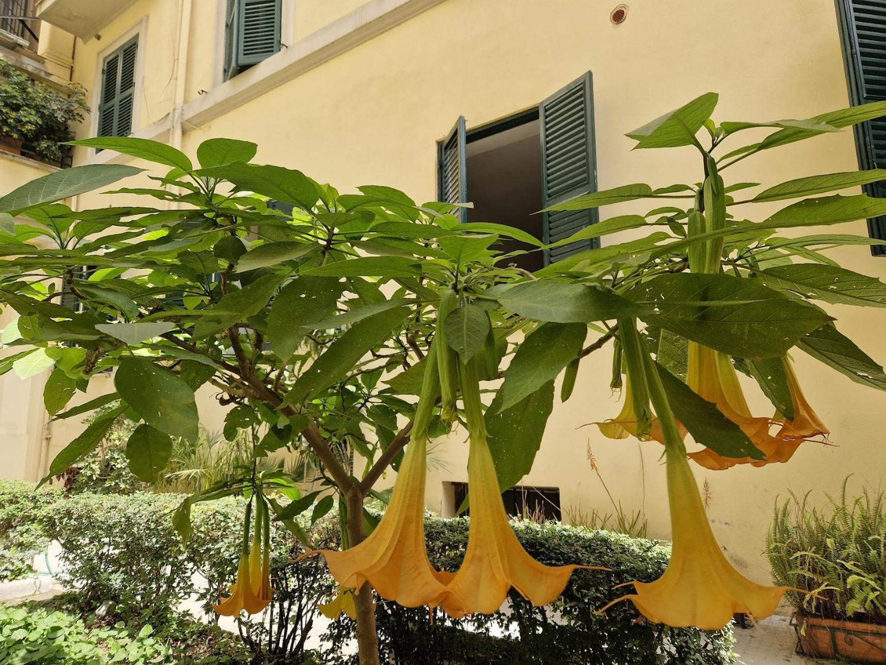 Home Rome Borsieri — Photos 1